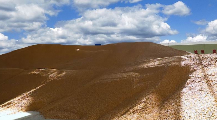 臺安稷豐糧食經銷有限公司